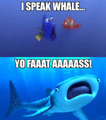 Dory Speaks Whale Album On Imgur