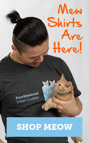 My foster kittens are listed under the adoptions menu. Kitten Fostering In Los Angeles L Volunteer L Aspca