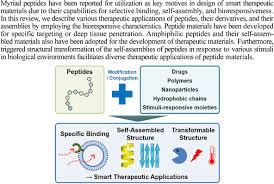 Language english with lithuanian translation. Peptide Materials For Smart Therapeutic Applications Springerlink