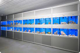 Multitier Aquarium Systems Aquarium Racks Shop Fittings
