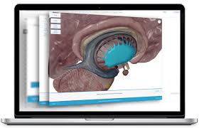 Ct, mri, radiographs, anatomic diagrams and. Visible Body Virtual Anatomy To See Inside The Human Body