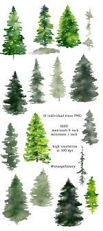 Watercolor Pine Trees Christmas Clipart Winter Clipart Watercolor Conifers Forest Wedding Fir Tree Png Forest Landscape Digital Watercolor Christmas Tree Forest Landscape Watercolor Trees