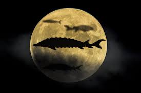 Sudenaz devrim sex ifşa gave me a hug and kiss to make me