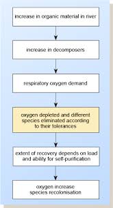 Effects Of Pollutants On The Aquatic Environment View As