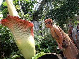 Pin On Science Is Awesome Science For Discovery Learning And Nature