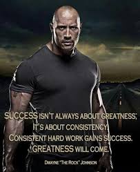 WWE-wrestling-quotes-success-isnt-always-about-greatness.jpg via Relatably.com