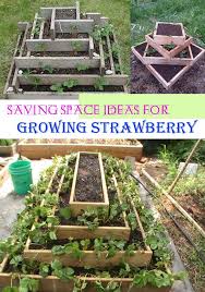 Each layer of the garden is designed to be higher than the last, which allows you plenty of room to plant in the garden space that is behind the cinder blocks as well. 10 Saving Space Ways To Grow Strawberries