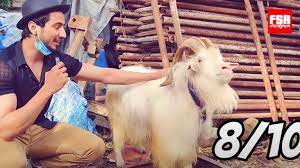 An arkansas hospital is offering a $25,000 signing bonus to nurses as delta variant surges cnn; Tiktok Star Helps Sell Goats For Eid Al Adha In Face Of Pandemic Woes Goats And Soda Npr