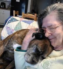 Lost Pets Of Livingston Parish Group