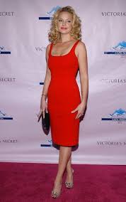 Katherine Heigl Cocktail Dress Katherine Heigl Katherine Heigl Bikini Katherine Marie Heigl