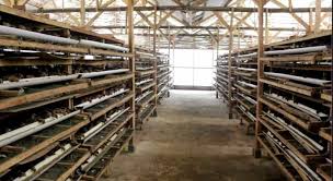 Maybe you would like to learn more about one of these? Analisa Usaha Budidaya Puyuh Petelur Skala Rumah Tangga Per 1 000ekor