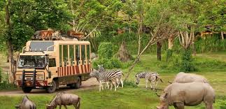 Di sana, terdapat kebun binatang tertua di dunia. 5 Pilihan Kebun Binatang Di Bali Untuk Sarana Liburan Edukatif Bersama Anak Info Wisata Kintamani Bali