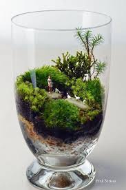 Inspiration 15 Amazing Terrarium Ideas With Moss Ferns Air Plants And Succulents Home Decor Singapor In 2020 Beautiful Terrariums Terrarium Jar Garden Terrarium