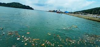 Penelusuran gambar paling menyeluruh di web. Terminal Eksekutif Merak Dipenuhi Sampah Asdp Dari Sungai Kabar6 Com