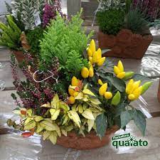 Fiori dell'orchidea e pianta, fondo floreale. Idee Per Composizioni Floreali Autunnali Davvero Uniche Floricoltura Quaiato