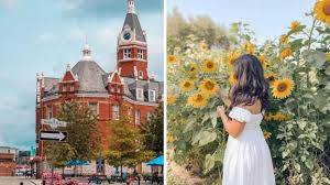 نتیجه جستجوی لغت [quaint] در گوگل