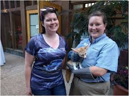 Event Recap: 2016 Midwest Tesla Gathering