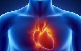 Check spelling or type a new query. Oi Ka8hmerines Synh8eies Poy Blaptoyn Thn Kardia Sas Onmed Gr