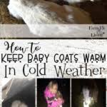 How To Keep Baby Goats Warm In Cold Weather Farm Fit Living