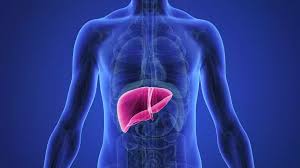 العلاج بالخلايا الجذعية لتليف الكبد - علاج الكبد منخفض التكلفة في الهند |  ميد أكسيس