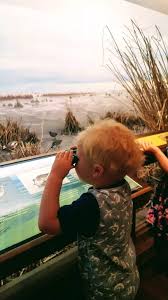 Victoria B C Eh The Road Knott Taken Kid Friendly Restaurants Victoria Swimming Times