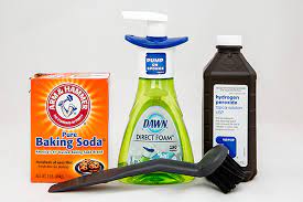 How To Clean Vomit Out Of Carpet Like A Pro — Pro Housekeepers