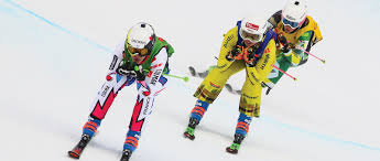 Dynastar Speed Wc Fis Gs Factory R22