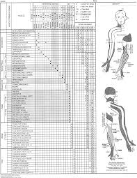 Musculoskeletal Examination Physical Rehabilitation 6e