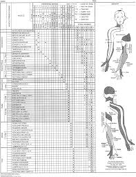 musculoskeletal examination physical rehabilitation 6e