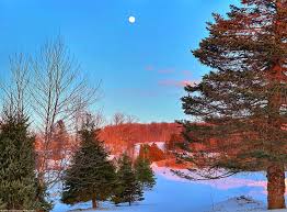 Vintage barn and root cellar found in upstate New York