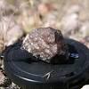 อุกกาบาต (meteorite) คือ หินอวกาศที่ตกลงมาสู่ผิวโลกหรือผิวดาวเคราะห์แล้ว ตอนอยู่ในอวกาศจะเรียกว่า ดาวเคราะห์น้อย (asteroid) หรือ สะเก็ดดาว (meteoriod) พอเข้าสู่. Https Encrypted Tbn0 Gstatic Com Images Q Tbn And9gcsnlwrpq5pgrgcurzjeojzzwglpmlhlxoxa4xykek Nsvj Lgxs Usqp Cau