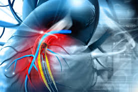 Limba şi literatura română, alolingvi (sesiunea de bază, bac, 2019). Totul Despre Angioplastia CoronarianÄƒ Smart Medical
