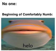 Haha I Love Pink Floyd So Much That Guy Is Really Good Pinkfloydcirclejerk Pink Floyd Music Memes Best Memes