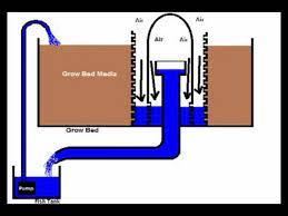 Ospe Sustainable Food Building An Aquaponics Automated Bell Siphon Youtube