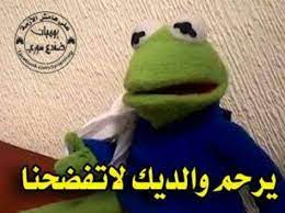 ولك ضفدع يخرب بيتك شو اللي عامله funny stickers mystic messenger characters funny jokes