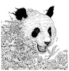 Pin On Coloring Pages