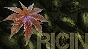 Image result for Ricin