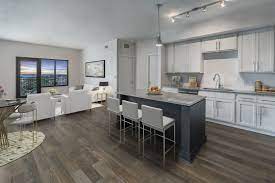 Check spelling or type a new query. 20 Best Studio Apartments For Rent In Tampa Fl With Pictures