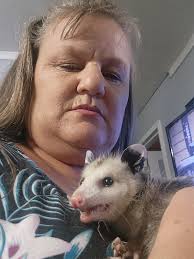 What kind of bug is this in SE Pennsylvania?