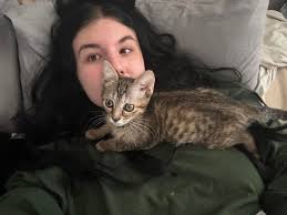 Dear all animal lovers, if you see my activities you can see I m trying all  to manage rescue financially, I am trying to sell things, make photo  contests ( which wasn't