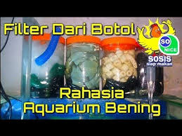 Setelah tahu apa itu aquaponik, sekarang giliran anda untuk membuat aquaponik sederhana di halaman rumah. Cara Membuat Filter Aquarium Dari Botol Sosis Anti Kuras Youtube Aquarium Filter Botol