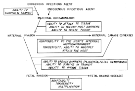 Infection In Maternal Fetal Medicine An Overview Glowm