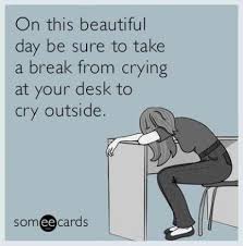 Sometimes i look across the office at my coworker and think: Funny Quotes About Work Stress I Have No Words Work Humor Work Memes Job Humor Dogtrainingobedienceschool Com