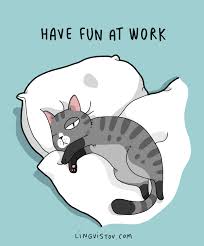 Have Fun At Work Cats Illustration Funny Illustration Crazy Cats