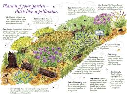 2 Planning Your Garden Jpg 1603 1194 Pollinator Garden Pollinator Garden Design Bee Friendly Garden