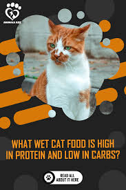 We've compared ten popular wet cat food brands to find the highest caloric content in each, combined with the highest percentage of crude protein and crude fat. What Wet Cat Food Is High In Protein And Low In Carbs Answer Wet Cat Food Cat Food Kitten Food