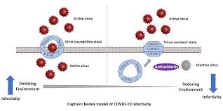 Image result for Infectivity