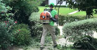 Don't see your favorite business? Need Landscape Maintenance Services We Can Help Salcido Lawn