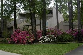 35 riverstone island drive, sugar land, tx, 77479 with voice over. 18322 Theiss Mail Route Rd Spring Tx 77379