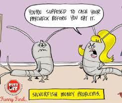 We will work with you to develop a pest we've been using bug buster for over 5 years for preventative pest control. Funny Find For Friyay Sent By A Pest Control Blacktown Facebook